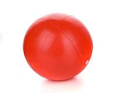 SPORTWELL Mini ball 20 cm