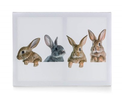 HOME DECOR Obraz 4x RABBIT 40 x 30 x 2 cm