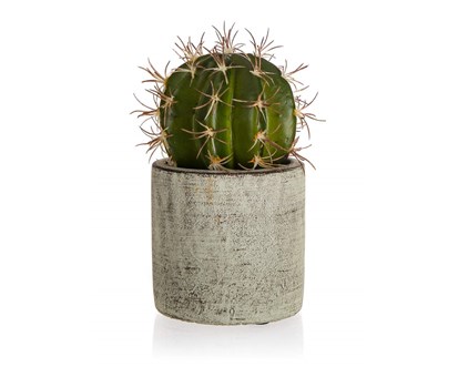 HOME DECOR Kaktus v betonovm kvtini 9,5 x 16 cm, zelen