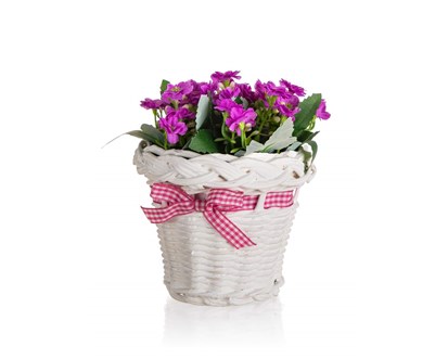 HOME DECOR Kvtina v ratanovm koku se stuhou 13 x 14 cm, fialov