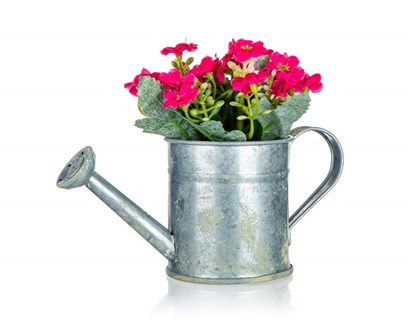 HOME DECOR Kvtina uml v plechovm kvtini MILAN FLOWERS 14 x 15 cm