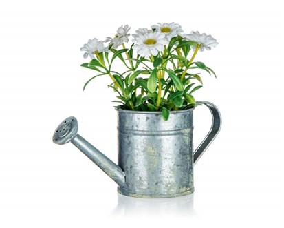 HOME DECOR Kvtina uml v plechovm kvtini DAISY 15 x 15 cm