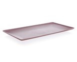 BANQUET T�c serv�rovac� CULINARIA 33 x 18 x 2 cm, r��ov�