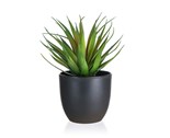 HOME DECOR Mek v plastovm kvtini 18 x 19 cm, zelen