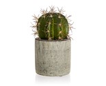 HOME DECOR Kaktus v betonovm kvtini 9,5 x 16 cm, zelen