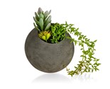 HOME DECOR Sukulent v betonovm kvtini 16,5 x 43 cm, zelen