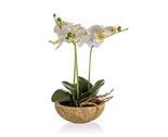 HOME DECOR Orchidej v betonovm kvtini 30,5 x 17 cm, bl