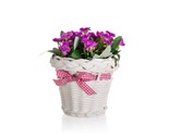 HOME DECOR Kvtina v ratanovm koku se stuhou 13 x 14 cm, fialov