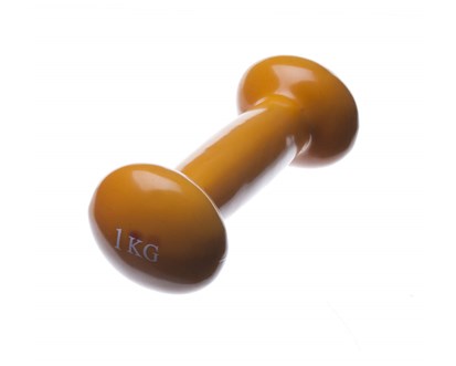 SPORTWELL Činka vinyl 1 kg